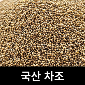 국산 잡곡 아람뜰 차조100g 낱개 포장, 100g, 1개