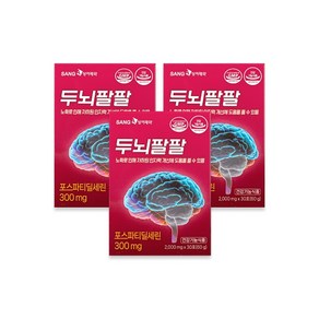 상아제약 두뇌팔팔 12주분, 3개, 상세페이지참조