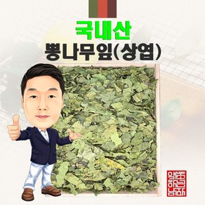 국내산 뽕나무잎(상엽) 300g/100g (경북 영천) 국산 뽕잎, 100g, 1개