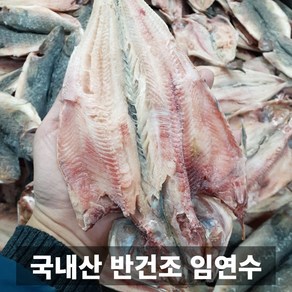 프리미엄 국내산 손질 반건조 임연수 대사이즈, 1개, 대 5미 x 1팩 (총 800g 내외)