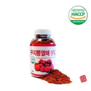 힘찬 꾸지뽕열매 분말, 200g, 1개