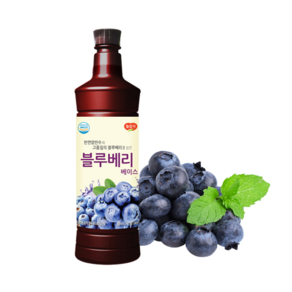 광야식품 블루베리 베이스 970ml, 2개