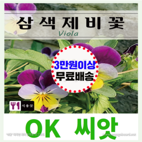 [OK씨앗] [삼색제비꽃] 제비꽃씨앗 비올라(오케이씨앗), 1개