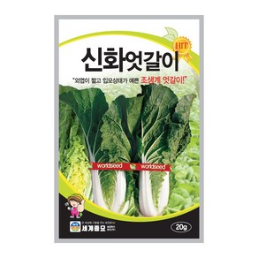 신화 엇갈이 10g / 얼갈이 배추 김장 가을 여름 종자 cabbage seed, 1개