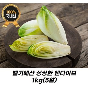 벨기에산 싱싱한 엔다이브 1kg(5알) 유럽샐러드 유러피안샐러드, 1개