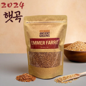 [농약검사완료 300g] 가족농장 2024 햇곡 파로 곡물 엠머 고대곡물, 1개, 300g