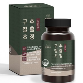 웰빙곳간 구절초 추출정 600mg, 1개