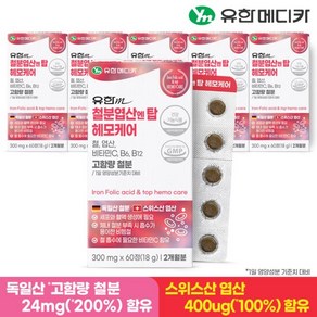 유한메디카 철분 엽산 엔 탑 헤모케어 60정x6개(12개월분), 60정, 6개