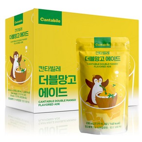 동서웰빙 탄산음료 칸타빌레 에이드 230ml 10포, 10개