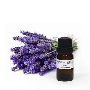 [엔피솝] 라벤더 커머셜 E.O 에센셜오일 비누 및 화장품 제조, 10ml, 1개