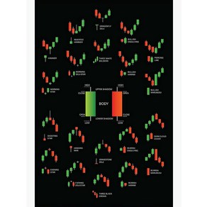 노 브랜드 트레이더를 위한 간단한 촛대 패턴 거래 포스터 차트 기술적 분석 투자자 투자 주식 시장 월스트리트 치... 0617, 30x40cm, no fame