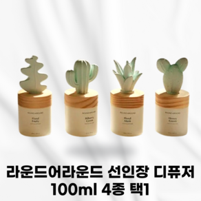 [본사정품] ROUNDAROUND 라운드어라운드 선인장 디퓨저 4종 택1 차오르는싱그러움 그린인테리어효과 취향따라선택가능 플로럴프루티향 플로럴머스크향 빌베리그린향, 1개, 100ml, 알로에