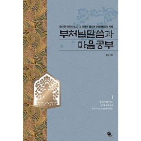 부처님 말씀과 마음공부:광대한 진리의 보고 그 속에서 뽑아낸 선정의 지혜, 무한