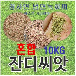 [경사면용/무료배송] 혼합양잔디씨앗 10kg 약100평 무료배송/발아율 80%이상/혼합풀씨 혼합종자 잔디씨 양잔디씨 잔디씨앗 법면녹화 사방공사, 10개