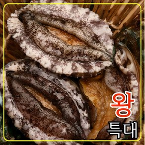 완도전복 왕특대 직거래 산지직송 산소포장 선물 세트