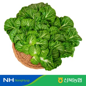 [신북농협 P!CK!]국내산 아삭아삭 봄동 1kg/2kg/3kg, 1박스, 1kg