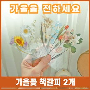 뱅크트리 꽃 책갈피 플라워 북마크 북키스 2가지꽃, 망고튤립 물망초, 1개, 망고튤립 물망초