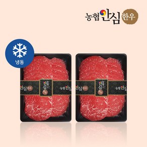 [농협안심한우] 1+등급 한우 육전 600g (300gX2팩)