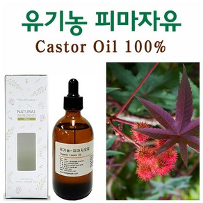 허브인 유기농(Oganic)피마자오일 + 브러쉬증정, 유기농100ml, 1개