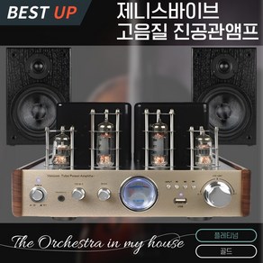 제니스바이브 무손실 진공관앰프 하이파이 블루투스 5.0 고출력 스피커 무선 리모컨 풀세트, B 제바 플레티넘 골드