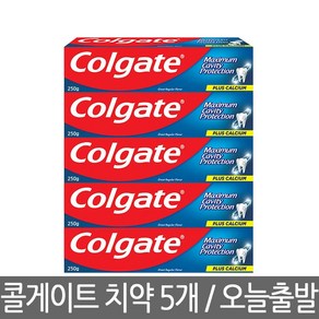 콜게이트 치약 250g 5개 코스트코 입냄새 그레이트 레귤러 고불소 1450ppm