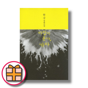 바람이 분다 가라 한강 [선물드림GwangJin]
