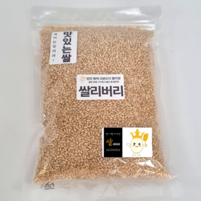 오분도미 5분도미 쌀 황미 여리향 삼시세끼 일반지퍼백 포장, 1개, 1kg