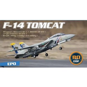 FREEWING F-14 TOMCAT super scale twin 80mm edf jet 톰켓 RC비행기