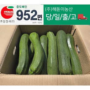 <해돋이농산> 국내산 쥬키니호 주키니호박 특품 10kg, 1개