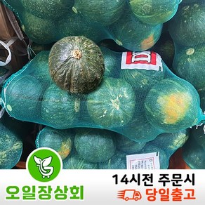 국내산 단호박 크기랜덤7~10 5kg내외, 1개, 긁힘5kg내외