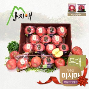 산지애 씻어나온 꿀사과 4kg 1box 특대과 미시마, 1세트