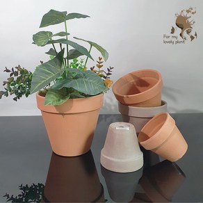 거목산업사 이태리토분 데로마 바소 11cm 15cm 19cm 이탈리아 토분화분 토분 테라코타, 그라파이트