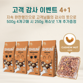 신선한 햇 마카다미아 까먹는 통마카다미아 진공포장, 4개, 500g