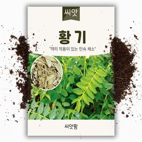 황기 씨앗(300립), 1개