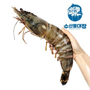 자연산 킹타이거새우 1kg (3-5미) 대왕 블랙타이거 랍스터새우 왕새우, 1개