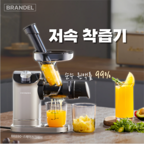 브렌델 착즙기 간편세척 가정용 자동 과일 야채 쥬서기, BR890-스페이스그레이