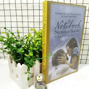 The Notebook 사랑 노트북 Nicholas Spaks