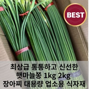 최상급 통통하고 알싸한 신선한 마늘쫑 햇마늘쫑 1kg 2kg 장아찌 대용량 업소용 식자재, 1개