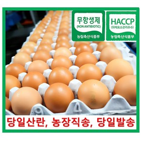 [알부자집] 무항생제계란 대란(52g~59g), 30구, 5개