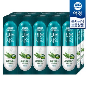 2080 진지발리스 후레쉬민트 유칼립투스향 치약, 10개, 150g