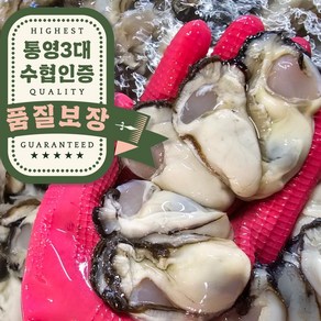 오라밀수산 통영 깐 생 굴 당일조업 산지직송, 1개, 2kg