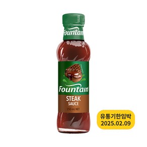 파운틴 스테이크 소스 250ml