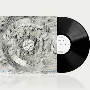 (LP) 이적 - 6집 Trace (180g) (Gatefold)