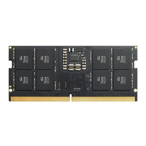 TEAMGROUP 엘리트 SODIMM DDR5 64GB (2x32GB) 5200 CL42 비ECC 언버퍼드 1.1V 262핀 노트북 메모리 모듈 RAM (TED564G5200C42, 16GB, 2개