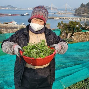 노지에서 자란 거문도 해풍쑥, 1개, 2kg