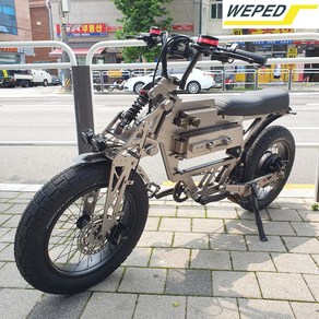 위페드 F1 전기자전거 60V 30Ah WEPED F1 E-bike, 기체만