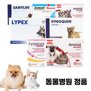 베츠페츠 베토퀴놀 벳플러스 버박 넬라펫 강아지 고양이 영양제 신장 관절 오메가3 유산균 칼슘 레날 안티놀래피드, 벳플러스 시스테이드, 1개