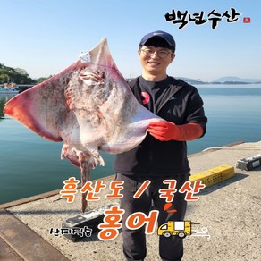 목포백년수산 흑산도홍어 국산홍어회 삭힌홍어250g 500g 1kg이상 (홍어애+홍어뼈+무료배송), 국산홍어250g강