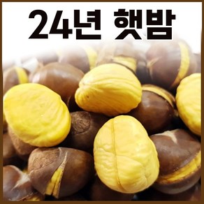 24년 햇 약단밤 칼집약단밤 1kg+1kg [구워먹는밤]