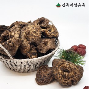 [경동버섯유통 송이 능이]자연산 능이버섯/ 건조 1pk 냉동송이/A B C/100g 1kg 건조능이버섯 말린버섯